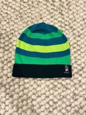 The North Face Green Striped Knit Beanie
